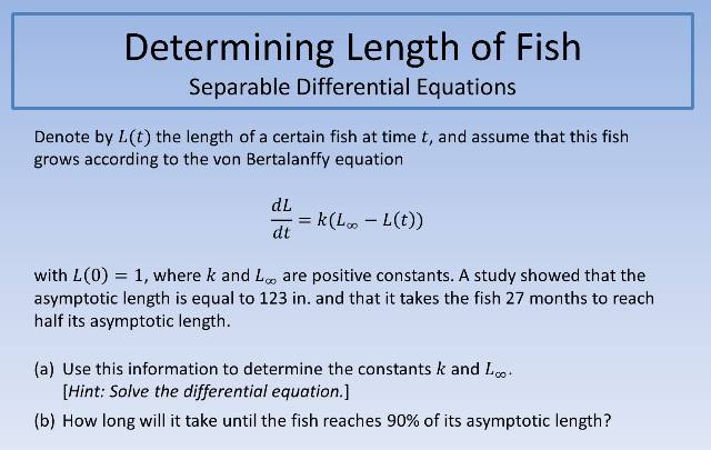 Determining Length of Fish 640