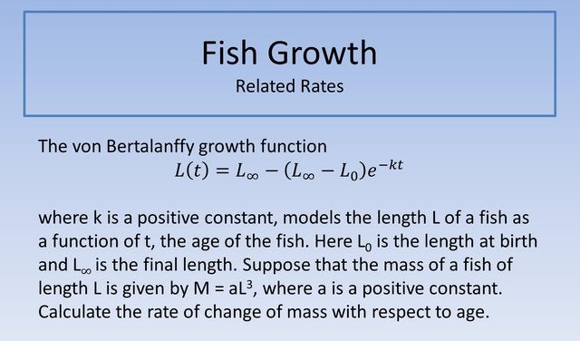 Fish Growth 640