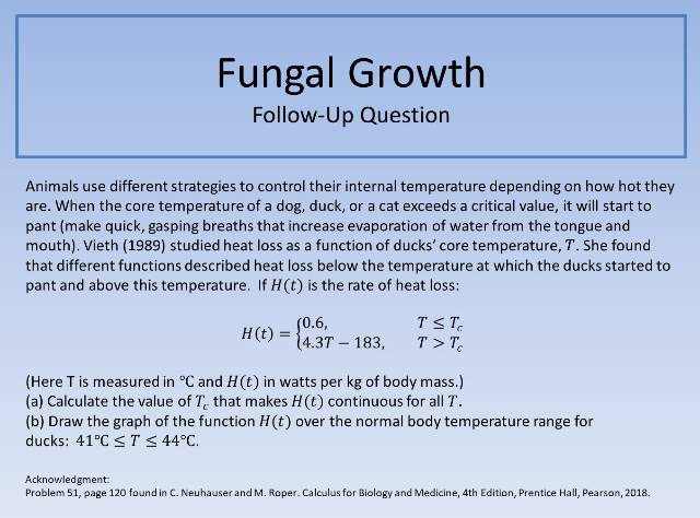 Fungal Growth FUQ 640