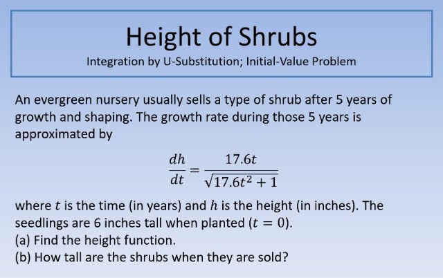 Height of Shrubs 640