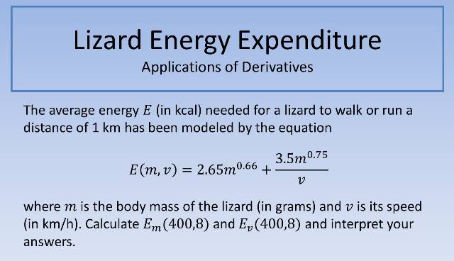 Lizard Energy Expenditure 640