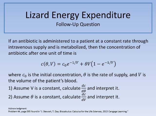 Lizard Energy Expenditure FUQ 640