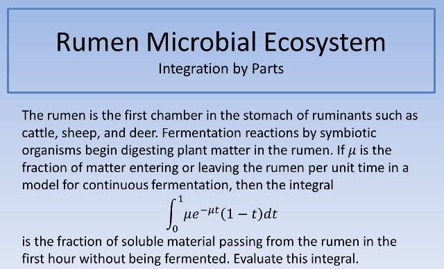 Rumen Microbial Ecosystem 640