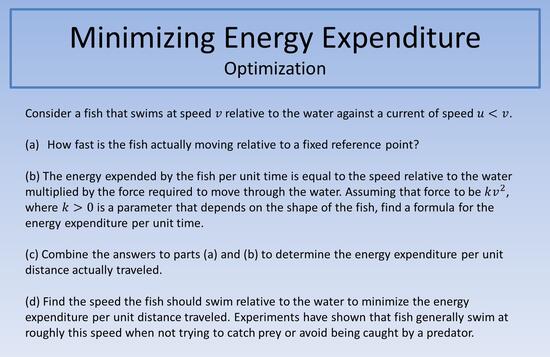 Minimizing Energy Expenditure