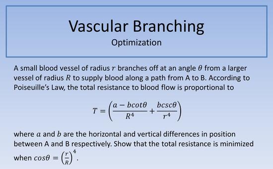 Vascular Branching