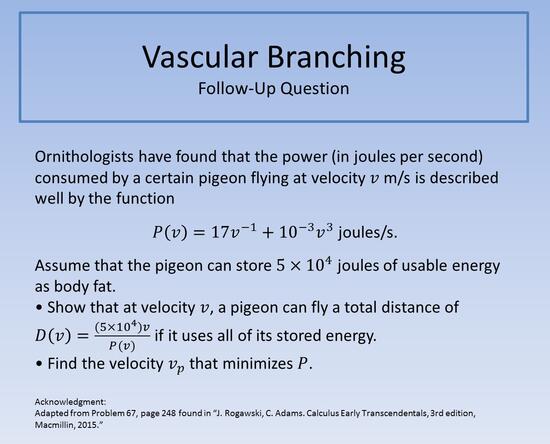Vascular Branching FUQ
