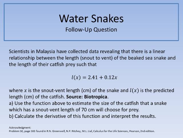 Water Snakes FUQ 640